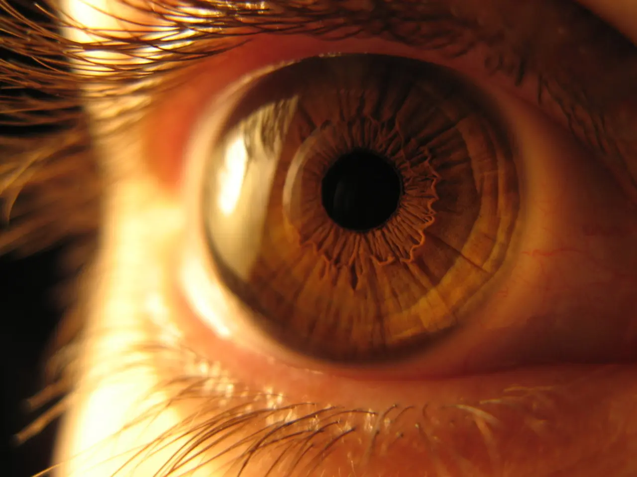 Eye swelling: Varieties, photos, reasons, and remedies