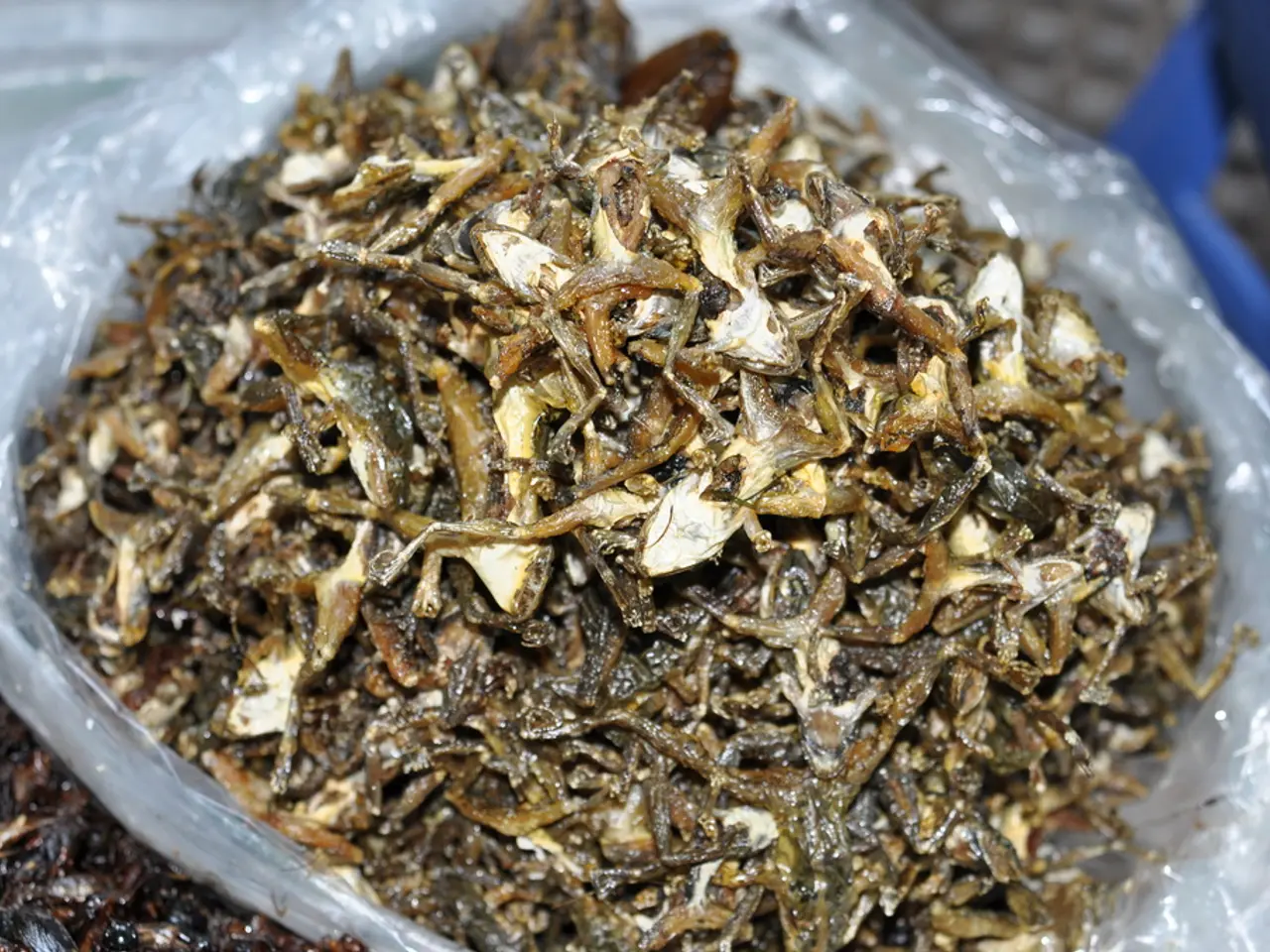 Myeloma stages explained, prognosis, strategies for coping, and related information