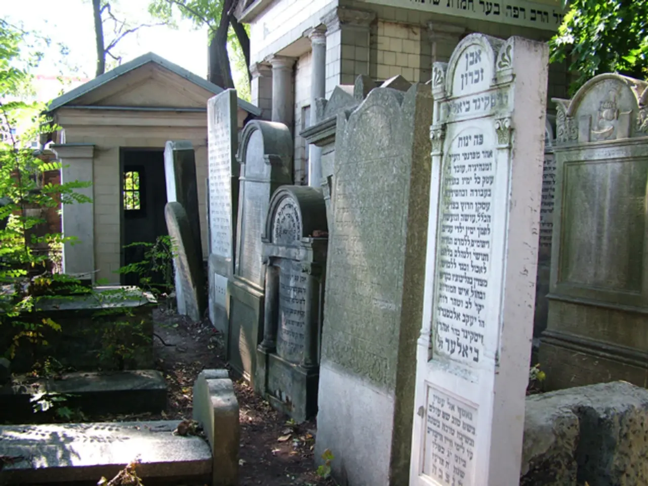 Stages of Progression in Dementia: An Overview