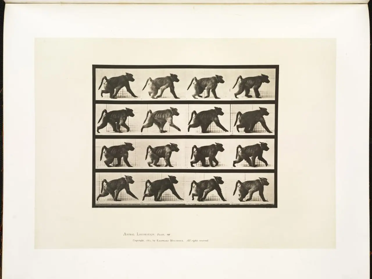 Predators in Nuremberg's Animal Garden are given deceased baboons as food.