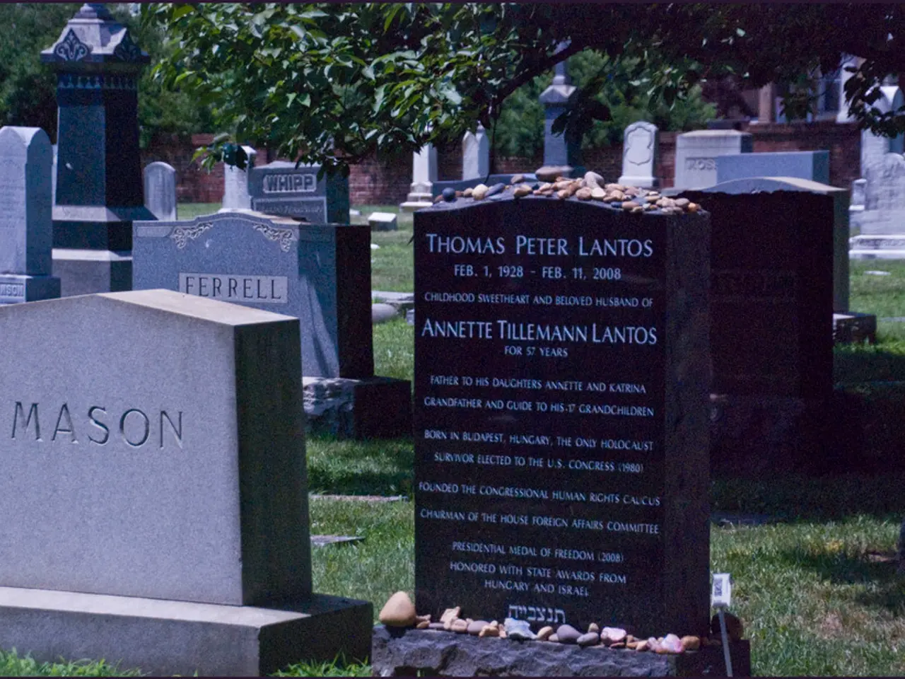 Thyroid Disorders: Understanding the Difference Between Graves' Disease and Hyperthyroidism