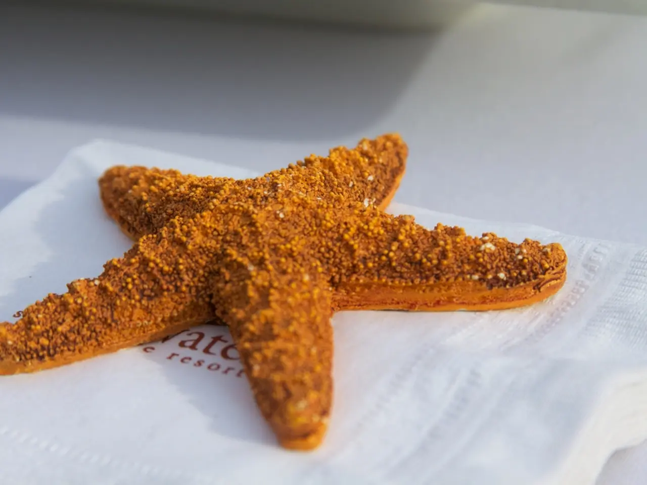 Interpreting Liver Biopsy Outcomes: A Breakdown