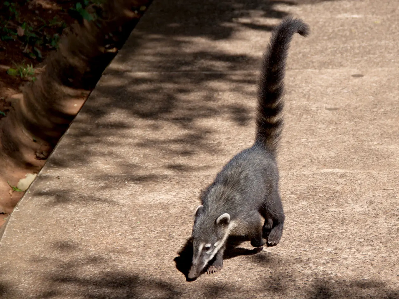 Intense stages of emphysema: Symptoms, lifespan, and additional details