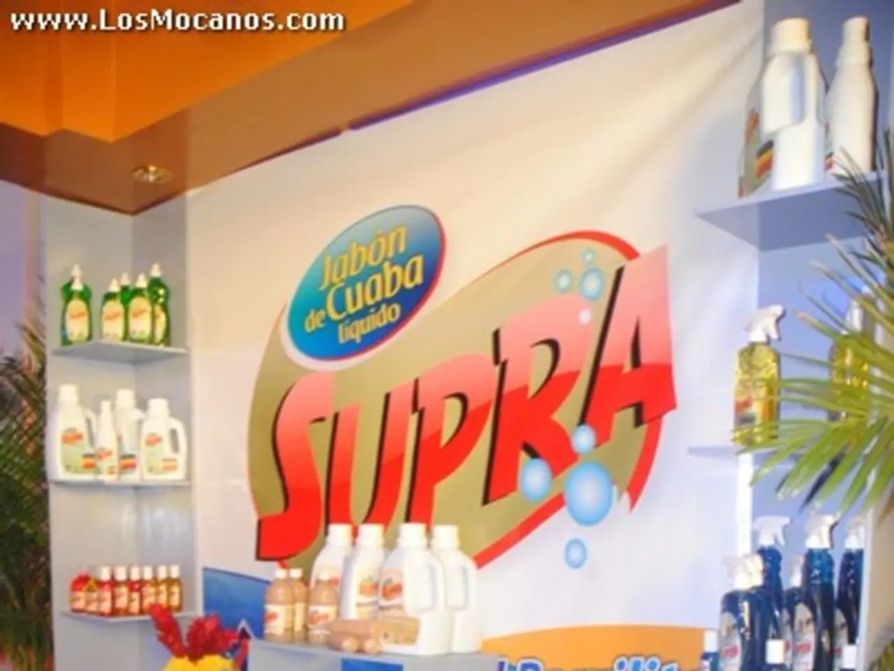 Supermarket chain Lidl unveils its vegan strategy: