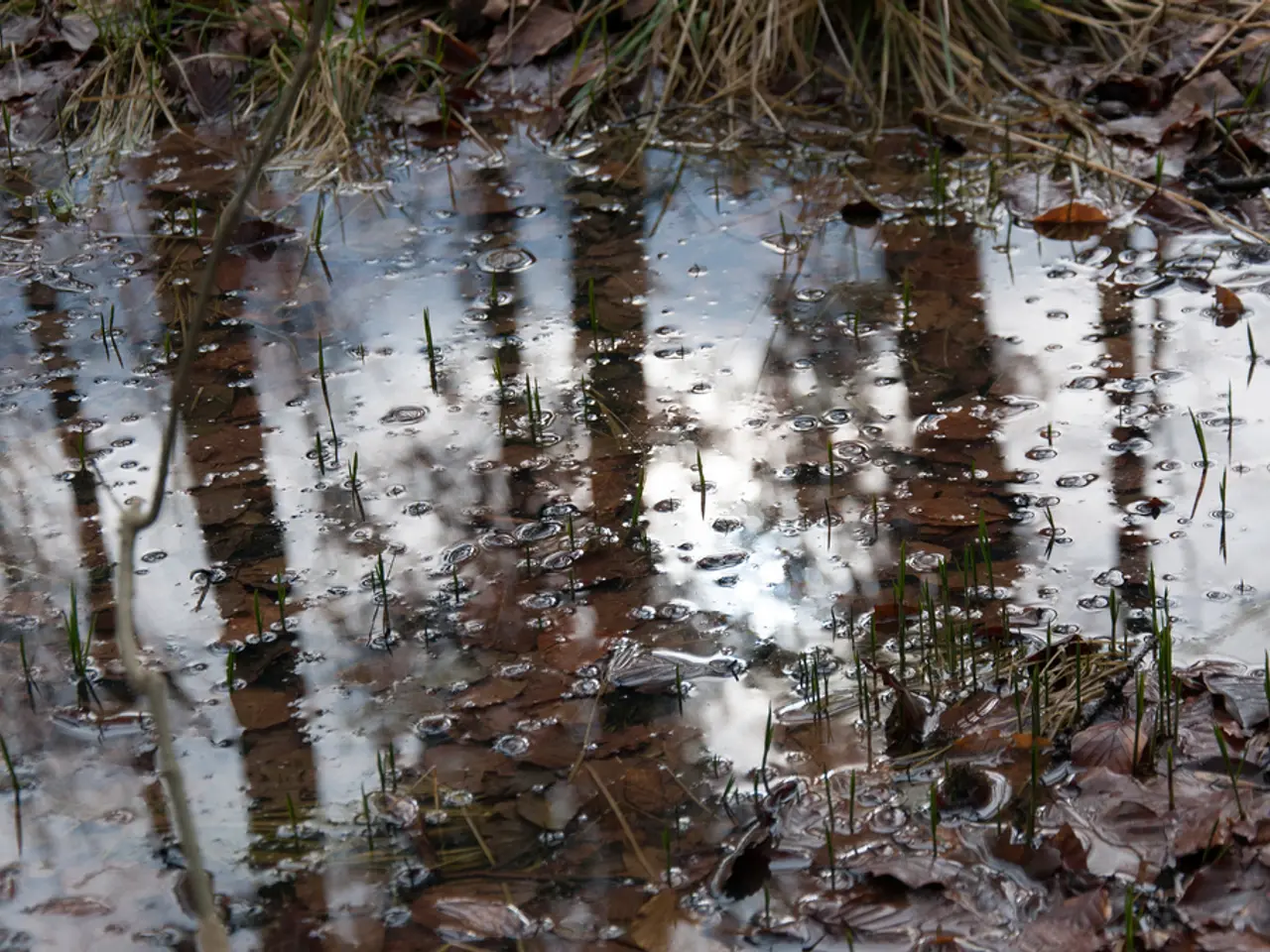 Maintain simmering hot water within household