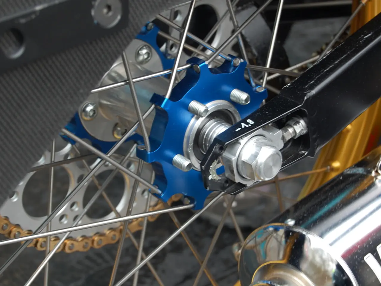 Brain Alterations Triggered by Three Days of Silence: Unveiling the Surprising Transformations