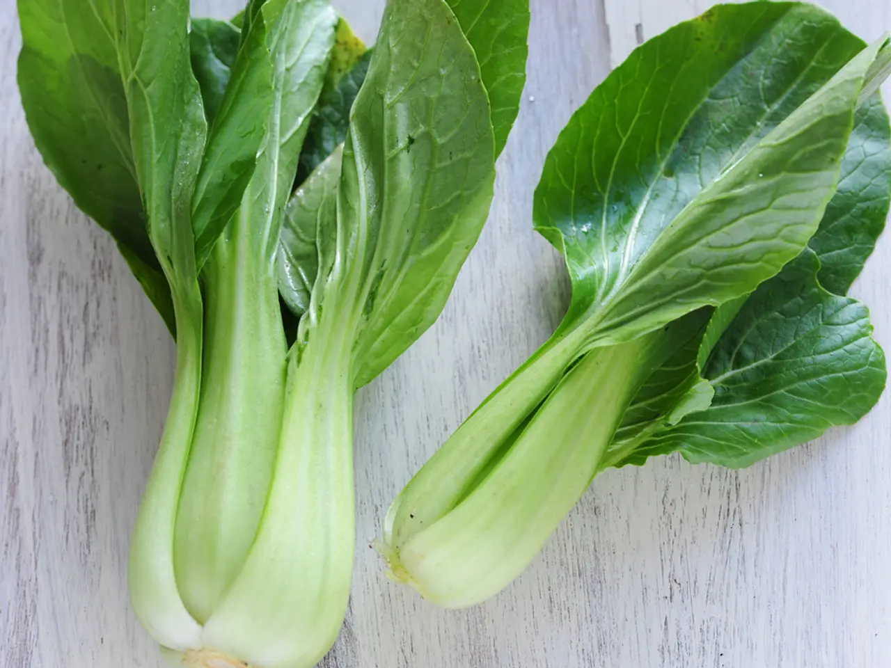 Nutrient-Rich Foods for Cancer Prevention and Management