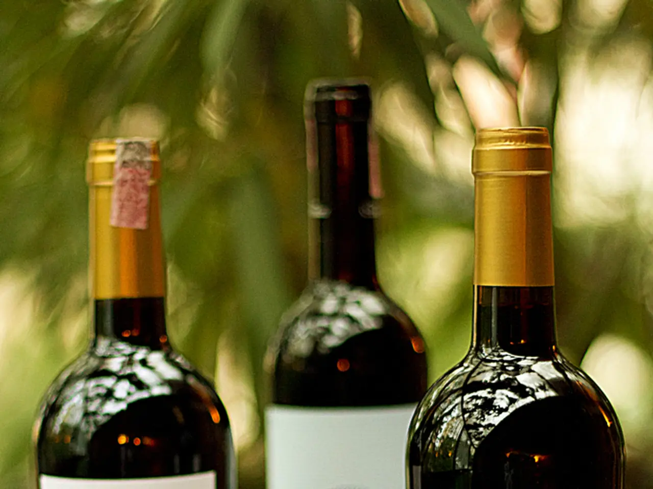 Understanding Breast Density: Implications and Significance