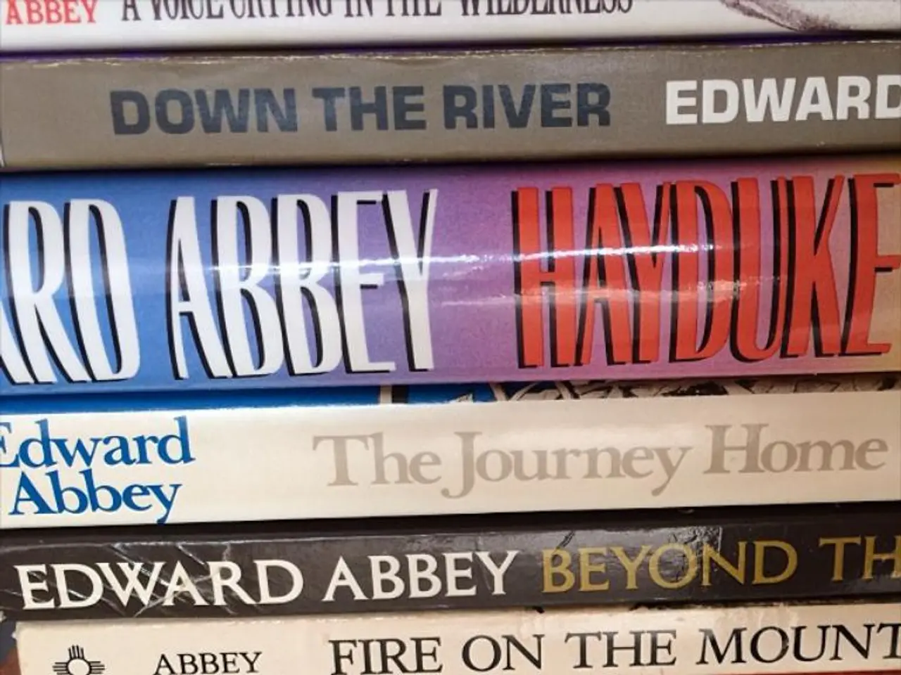 In this image we can see there are some books.