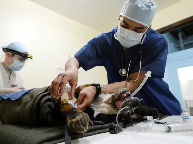 Individuals in northeastern England experience symptoms indicative of potentially fatal botulism...