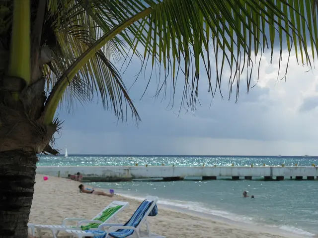 Advantages of Glycolic Acid: Its Impact and a Natural Substitute