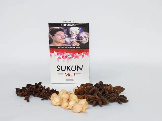 Benefits, Uses, and Insight into Ceylon Cinnamon: A Comprehensive Guide