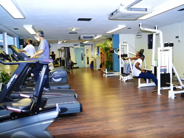 Distinctive Aspects of Issaquah Chiropractors in Comprehensive Holistic Healing Approach