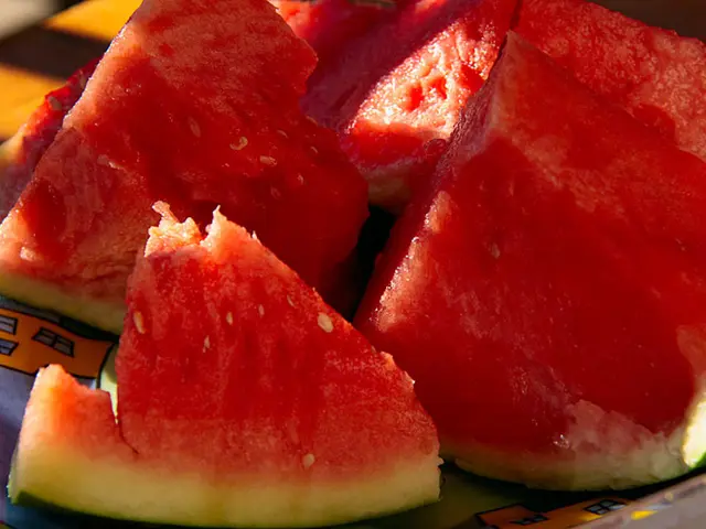 Pregnancy and Watermelons: Understanding the Pros and Cons
