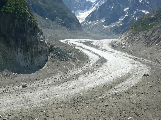 Biomarkers for Cardiovascular Events: Assessing Heart Attacks and Beyond