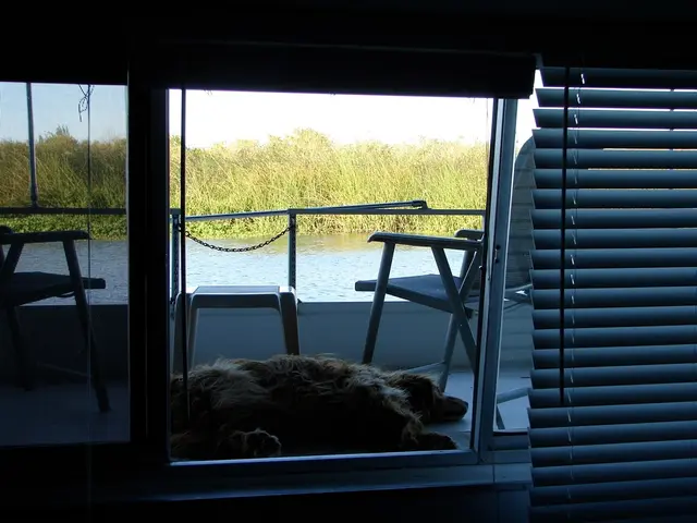 Tips for Safe Summer Fun with Your Canine Companion