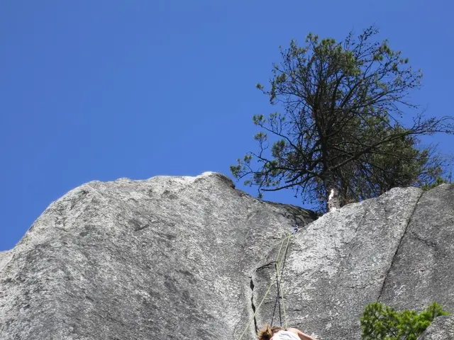 Climber experiences severe injury after tumbling at indoor climbing facility