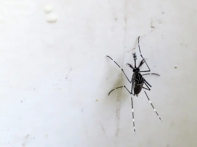 Aerial application of mosquito larvicide arranged in Sheridan County