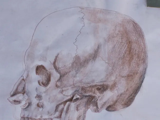 The extent of brain usage by humans: Truths and misconceptions regarding the human brain.