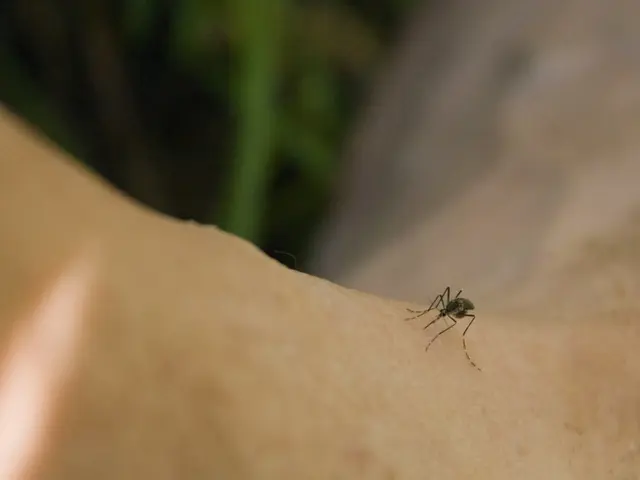 High-speed mosquito elimination: China's laser technology annihilates 30 insects in a second