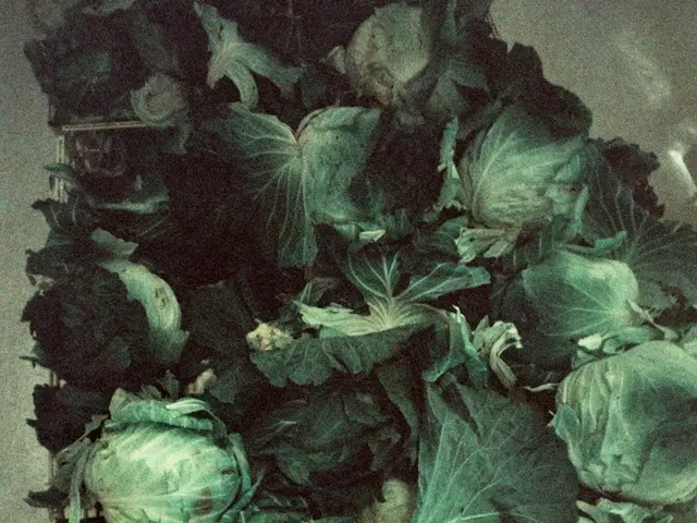 Ceramides Explained: These are vital lipids that play a critical role in maintaining the health of...