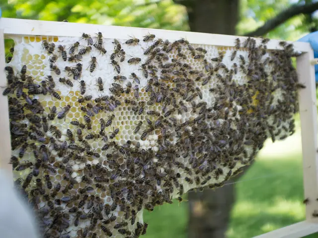 Strategies for Controlling Spring Allergy Symptoms