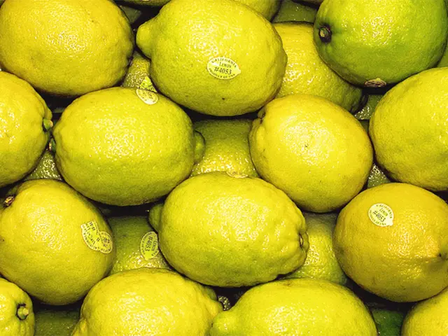 Comparing Lemon and Lime: A Breakdown of Dissimilarities in Nutrients, Advantages, and Applications