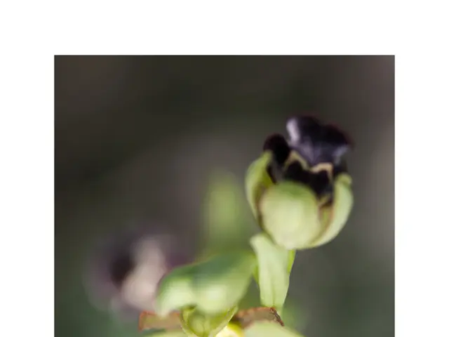 During Physical Activity, Ears Feeling Blocked Discussed: Reasons Explained