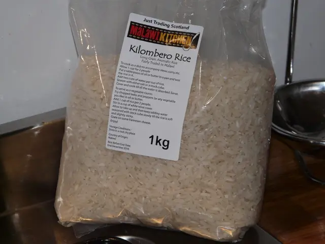 Traditional Probiotic from Rice Kanji: Promoting Gut Health and General Wellness