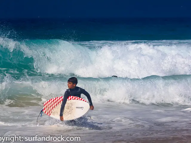 Swimming in the Danube at Nabada, Ulm, comes with a personal risk advisory as per the Danish...