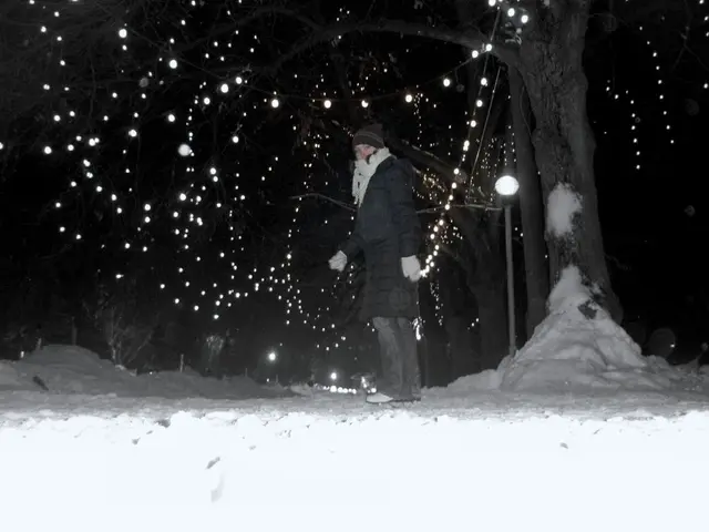 Seasonal mood disorder (SAD): Manifestations, triggers, and remedies