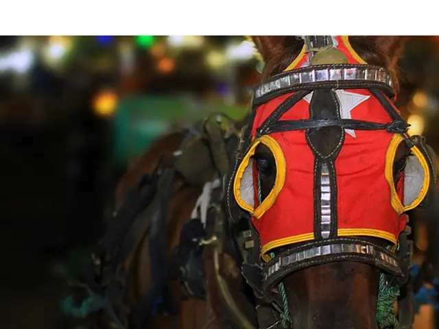 The dwelling of the Kazakhstan President will be transformed into a recovery facility.