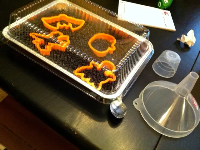 Mold Exposure Symptoms, Remedies, and Precautions