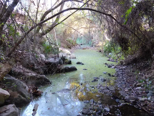 Seawater Quality: Essential Factors to Consider Before a Swim