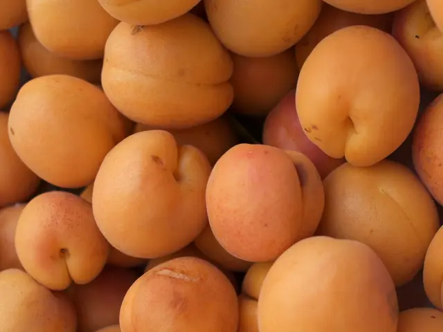 Fresh Mandarin Orange Salad: A Delicious Recipe to Savor