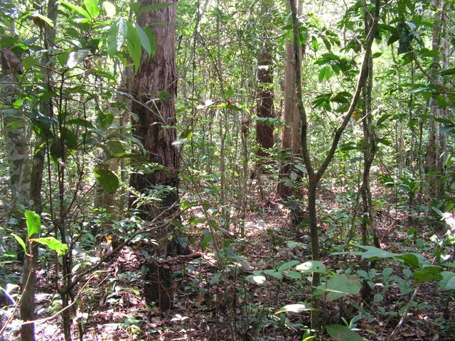 Scientist Officer Exam Results Released by Lok Sewa Aayog