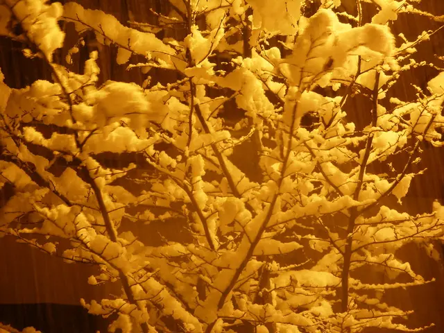 Coughing with Moisture: Significance, Treatments, and Further Details