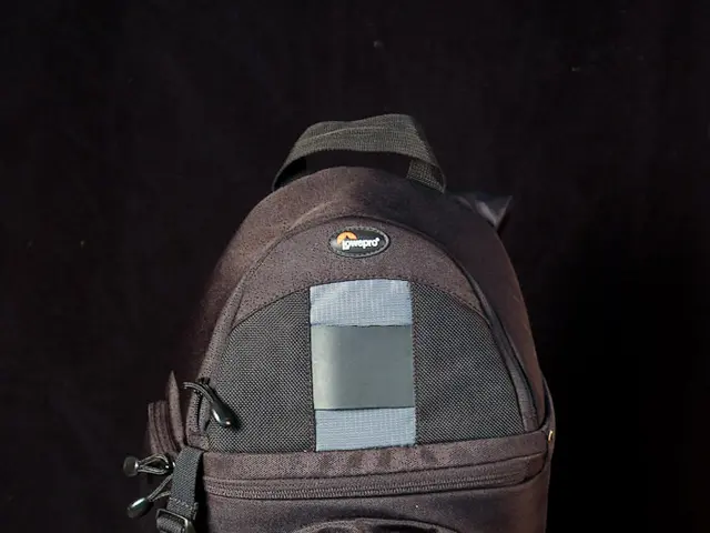 Skipping Your Bowel Movements: A Guide to What's At Stake