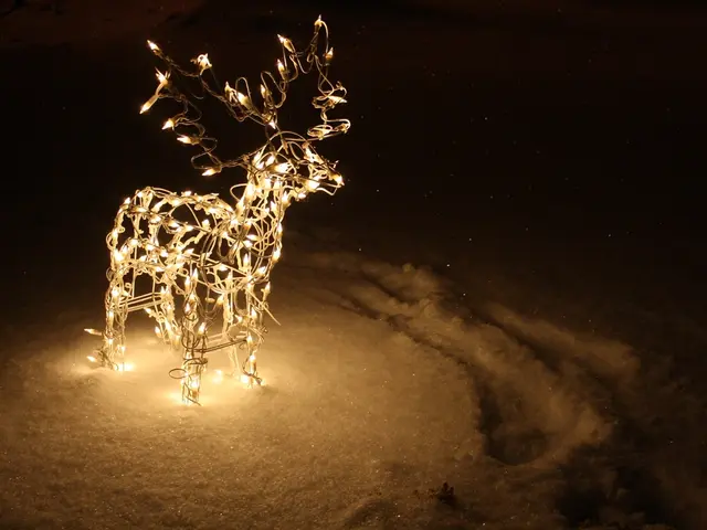 Deer-related mishap potential warned by hunters' group