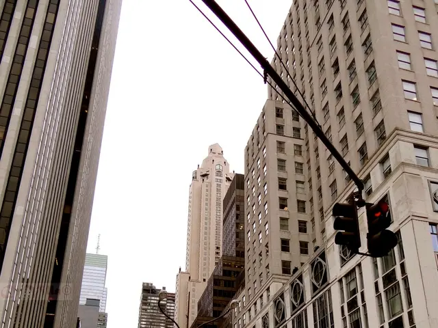 Thousands Afflicted by System Glitch in Means-Test Administration Under the Supervision of the...