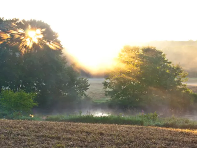 Ceasing carbon sequestration in an Amazonian peatland signifies a reversal in the natural process...