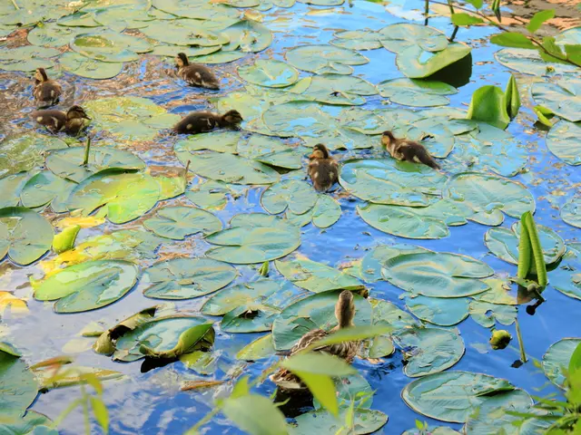 Rainy Season Health Tips from Monsoon Wellness: Essential Practices for a happier, healthier...