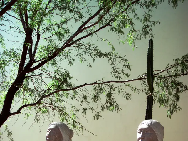 Celestial body: Omega Centauri Globular Star Cluster