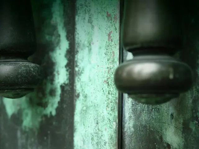 Most Convenient Ratchet Pruners for Easing Arthritis Strain and Ensuring Comfortable Use