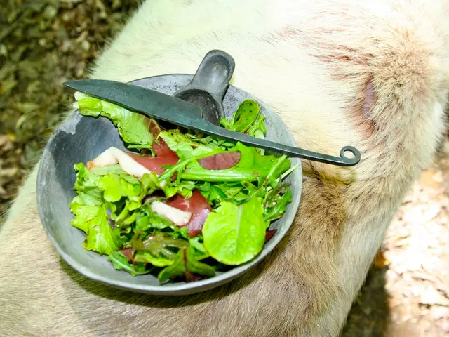 Cannabidiol (CBD) in Irritable Bowel Syndrome (IBS): Advantages, applications, and potential...