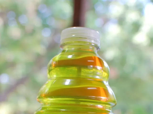 Plastic waste gets a second life: PET bottles transform into biodegradable substances through...