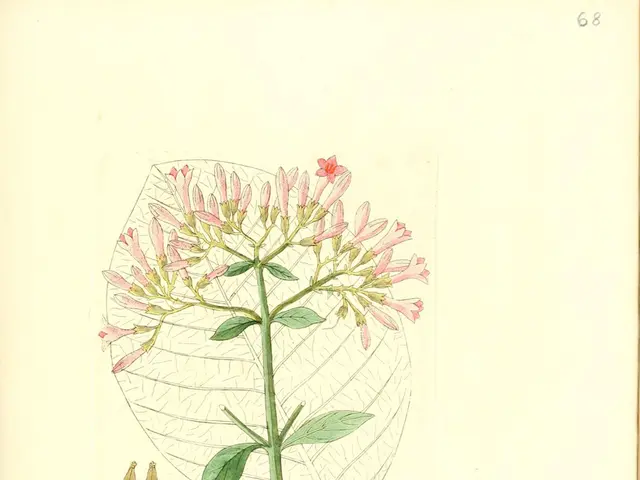 Unveiling the Impact of Intermittent Dieting on Cellular Healing: Discovering Strategies for a...