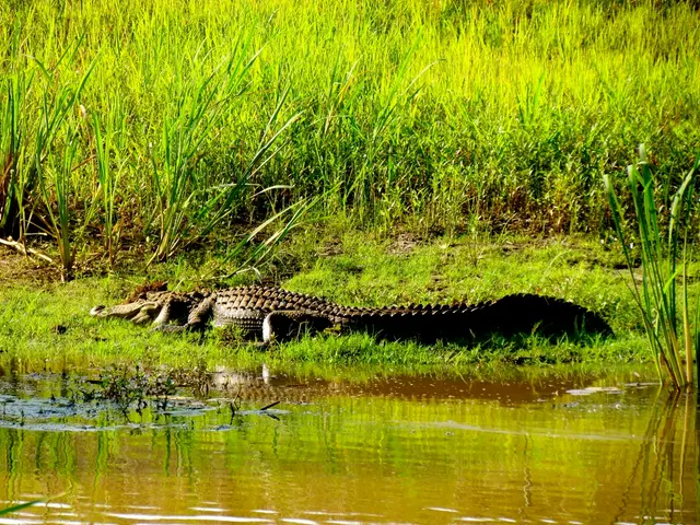 Importance of Verifying Water Quality Prior to Swimming in Victoria