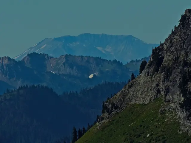 Vibrant Bluebells flourish in a secluded woodland of Shaftesbury, Dorset, UK. Findings suggest that...