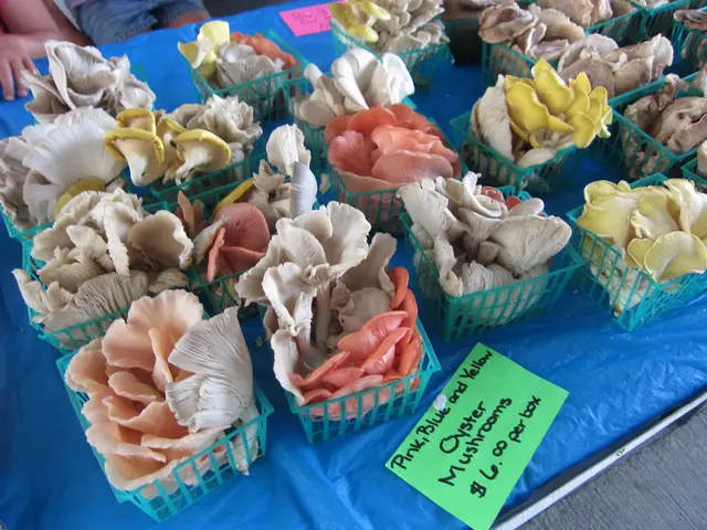 Highest Value Coming After Bavarian and DroneShield in Sequence